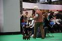 Crufts2011_2 1035